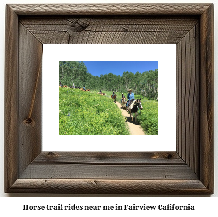 horse trail rides near me in Fairview, California